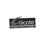 Log Chicote